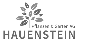 logo hauenstein gray